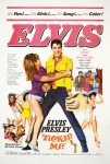 دانلود دوبله فارسی فیلم Tickle Me 1965